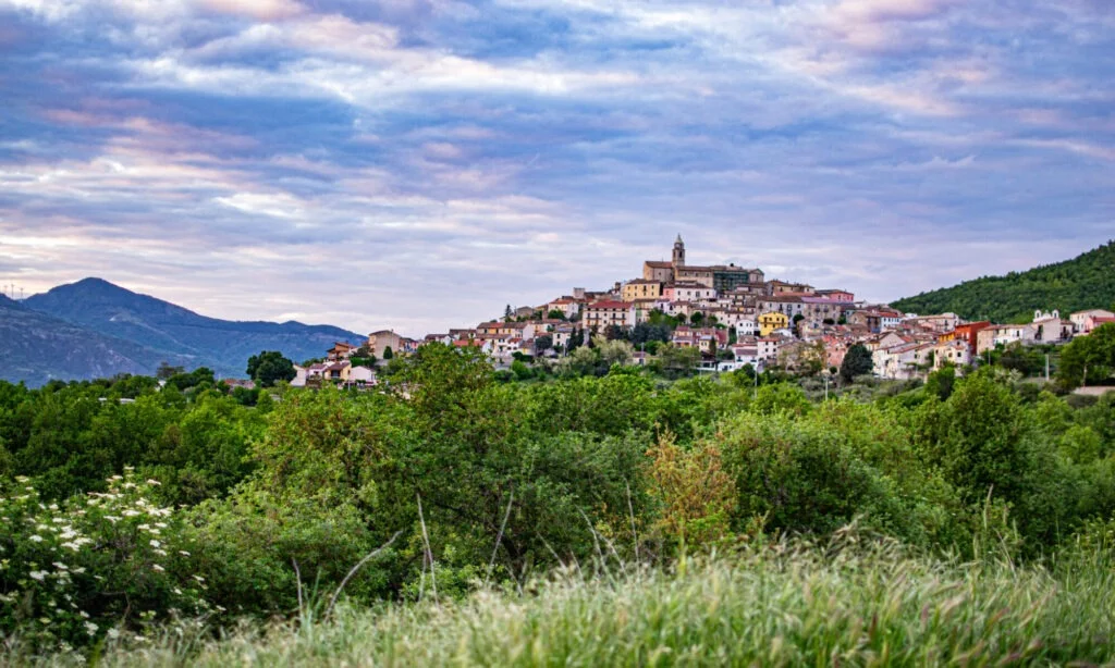 noleggio camion vela salcito